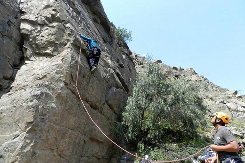 SEGURIDAD