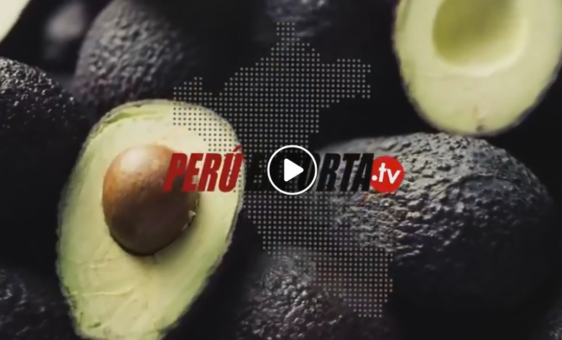 ENTREVISTA PERÚ EXPORTA